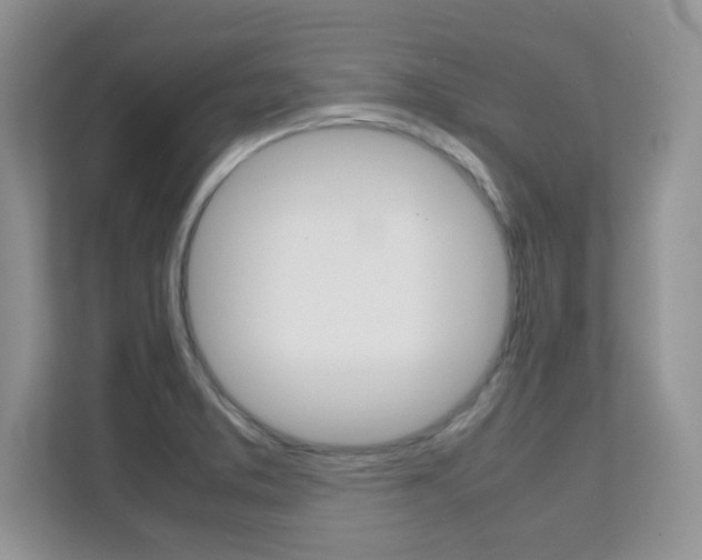 X0000112211373200908071254
