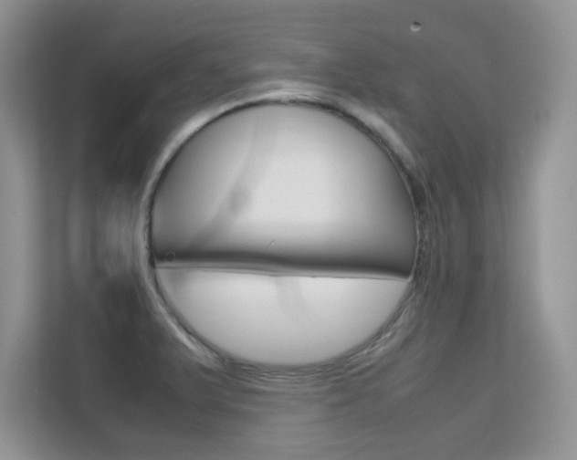 X0000112211375200908071254
