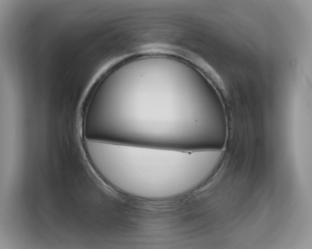 X0000112211376200908071254