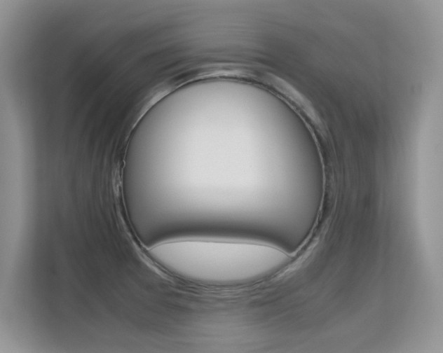 X0000112211377200908071254