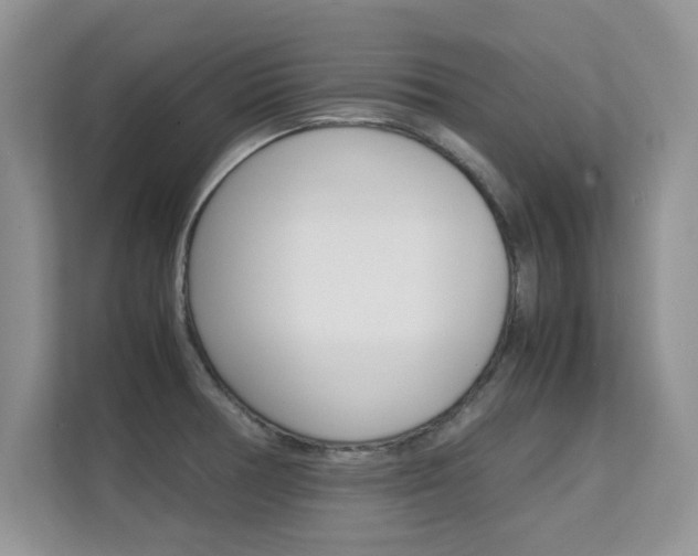 X0000112211378200908071254