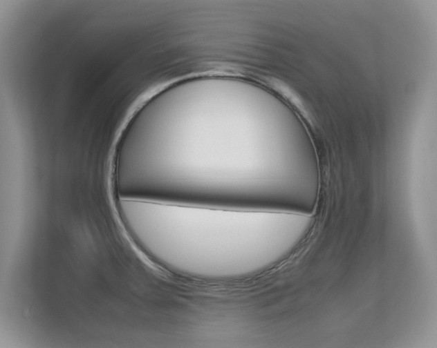 X0000112211379200908071254
