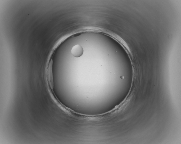 X0000112211381200908071254