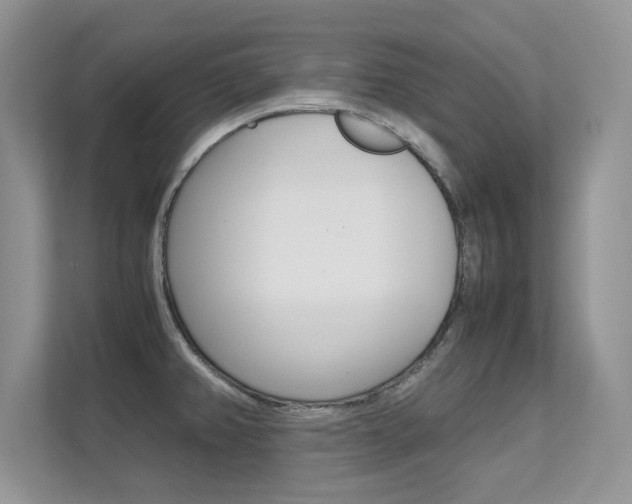 X0000112211382200908071254