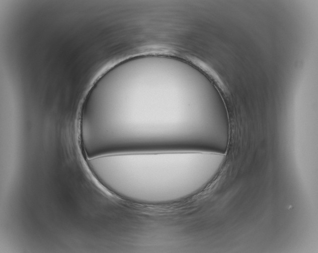 X0000112211383200908071254