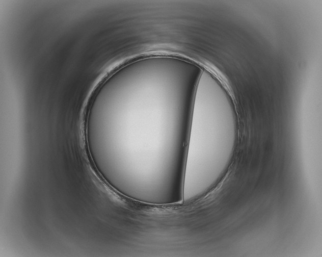 X0000112211384200908071254