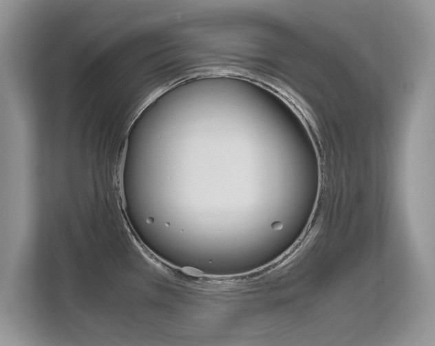 X0000112211385200908071254