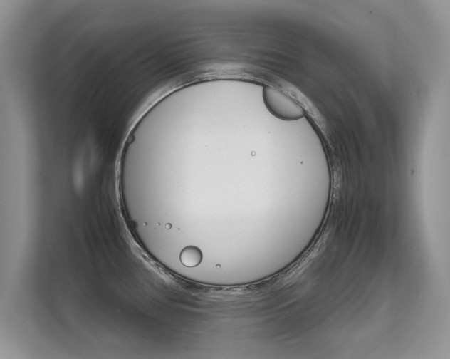 X0000112211386200908071254