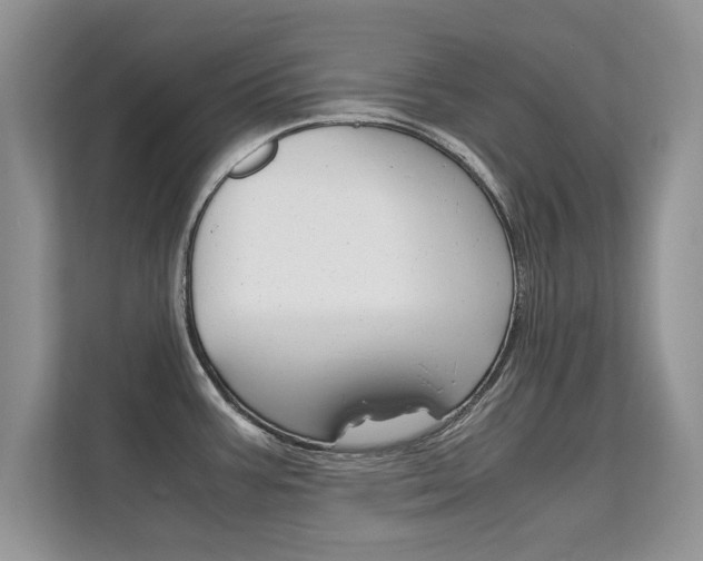 X0000112211387200908071254