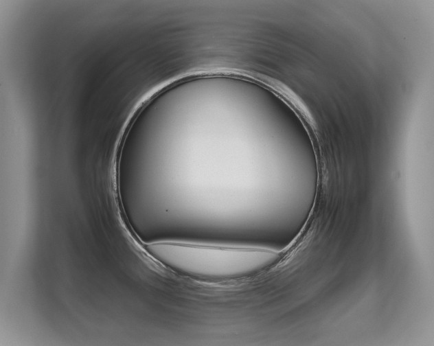 X0000112211388200908071254