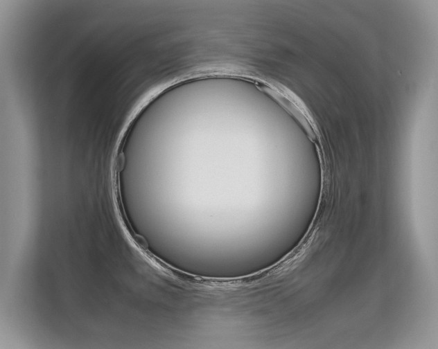 X0000112211389200908071254