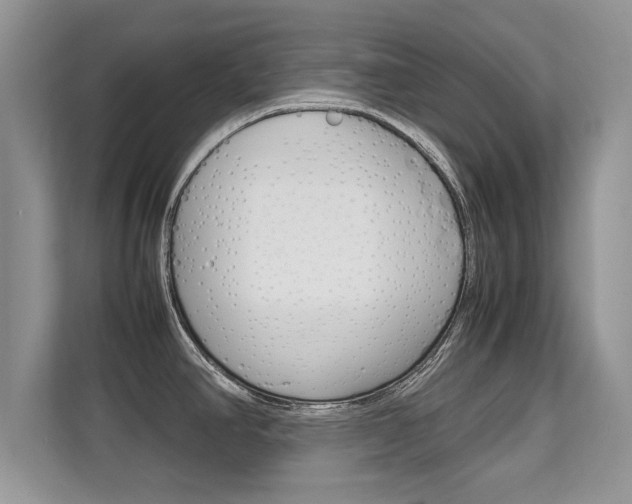 X0000112211390200908071254