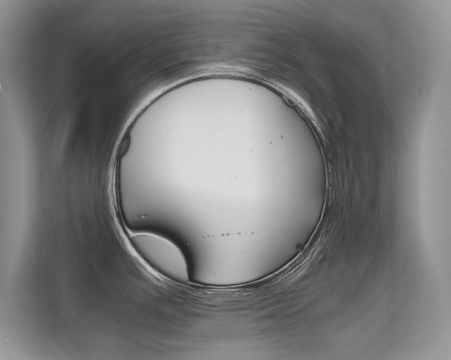 X0000112211391200908071254