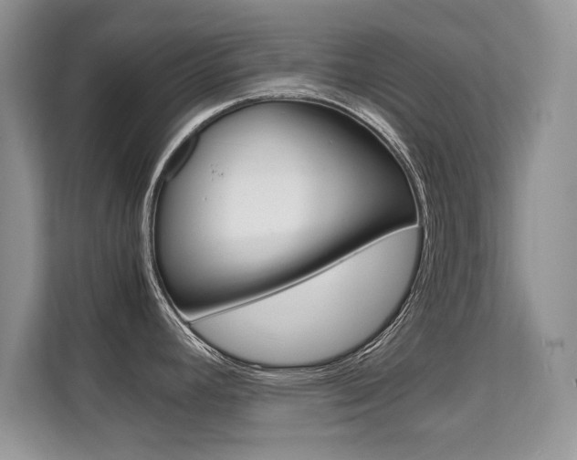 X0000112211392200908071254