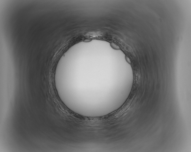 X0000112211393200908071253