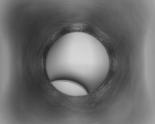 X0000112211394200908071253
