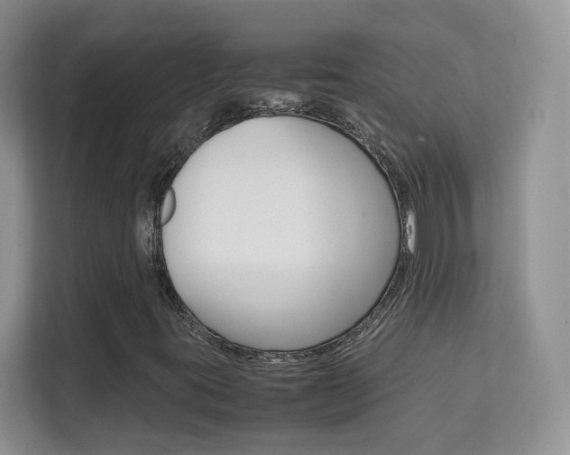 X0000112211395200908071253