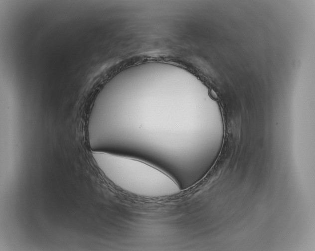 X0000112211398200908071253
