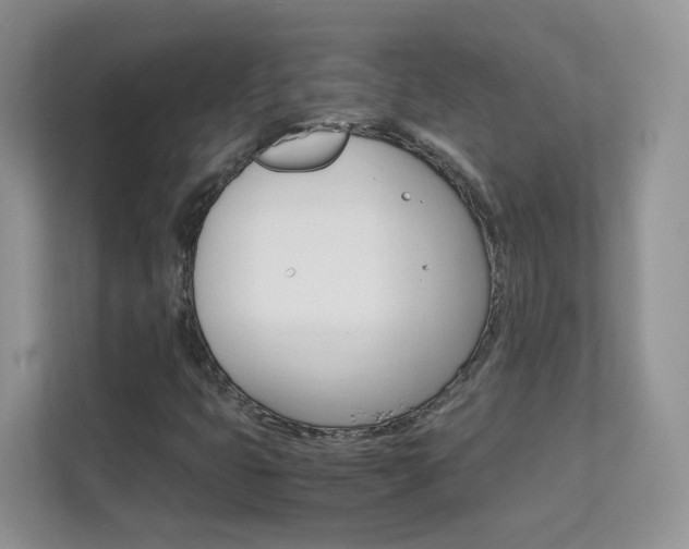 X0000112211399200908071253