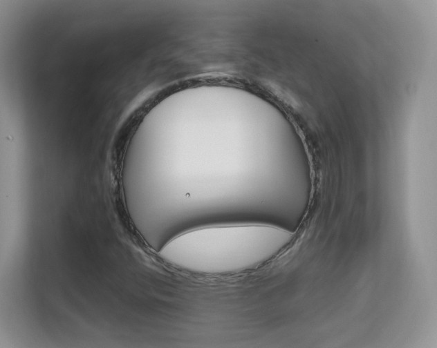 X0000112211400200908071253