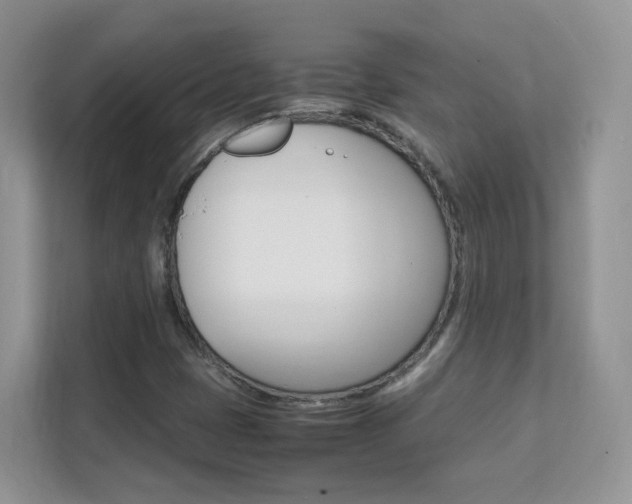 X0000112211401200908071253