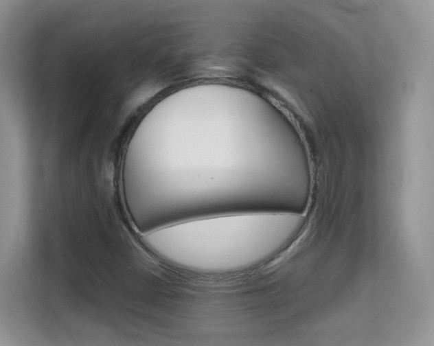 X0000112211402200908071254