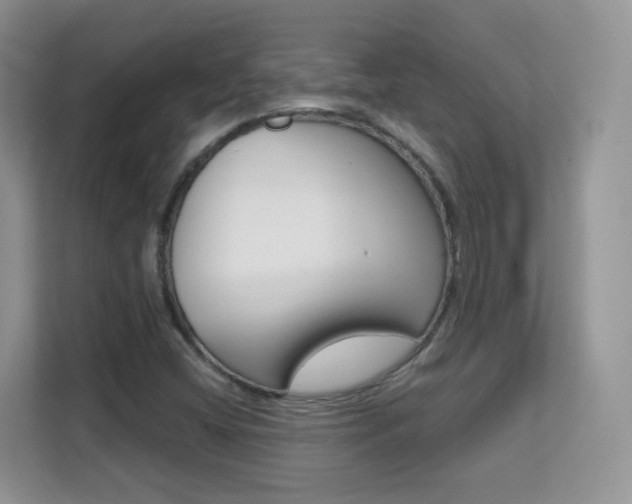 X0000112211404200908071254
