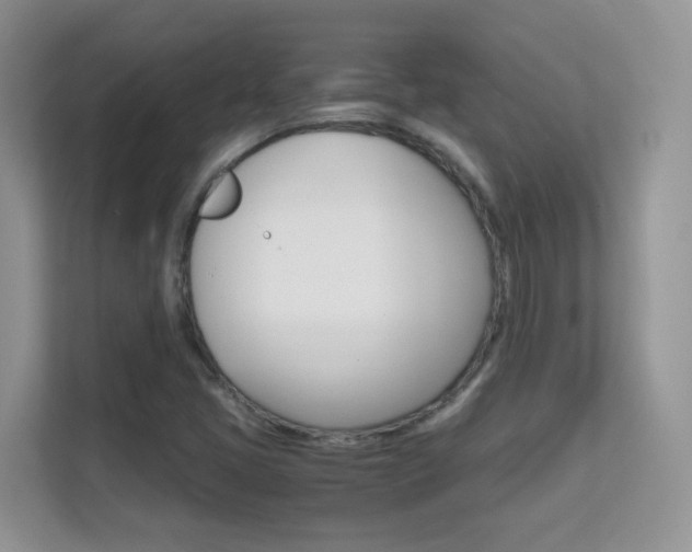 X0000112211405200908071254