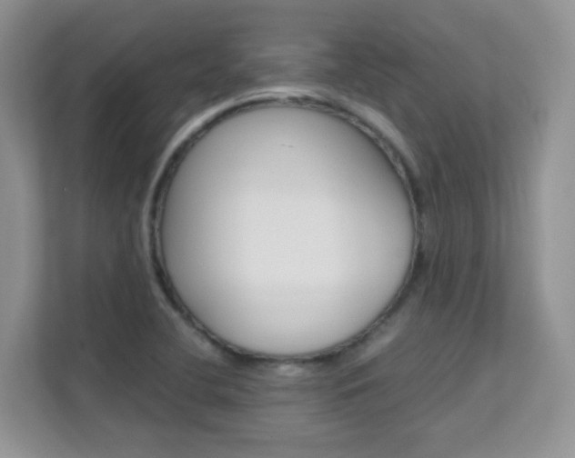 X0000112211412200908071254