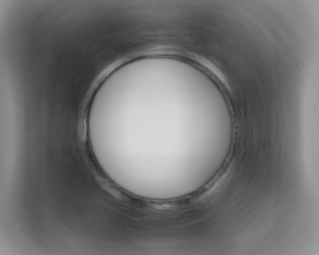 X0000112211413200908071254