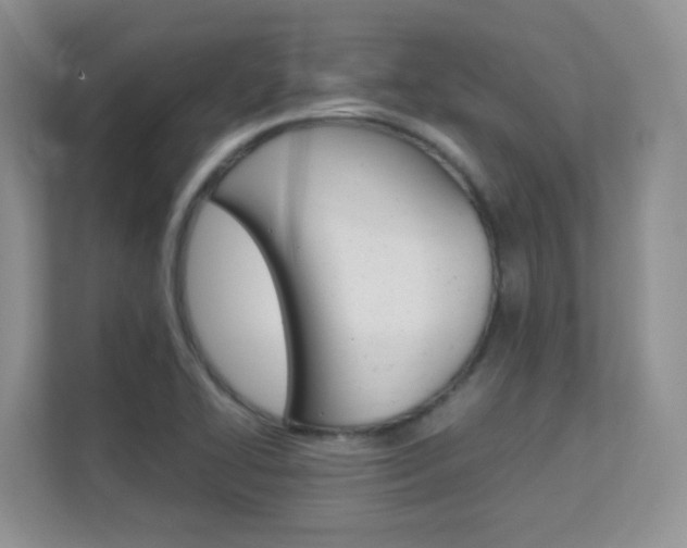 X0000112211414200908071254