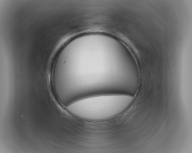 X0000112211416200908071254