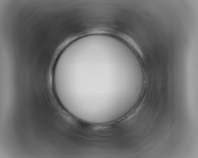 X0000112211419200908071254