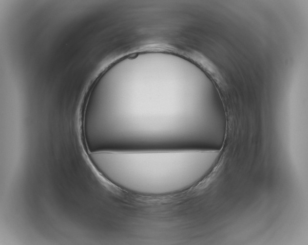 X0000112211430200908071254