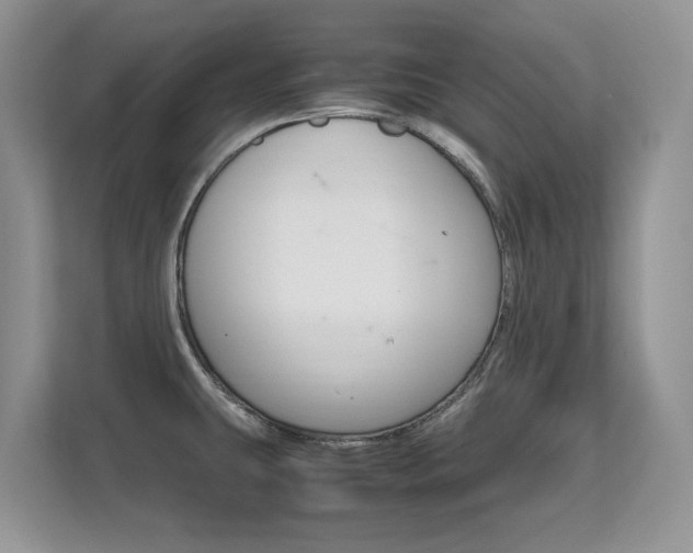 X0000112211431200908071254