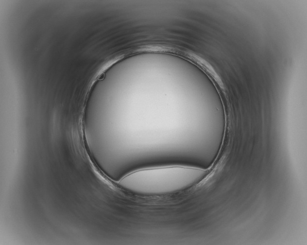 X0000112211433200908071254