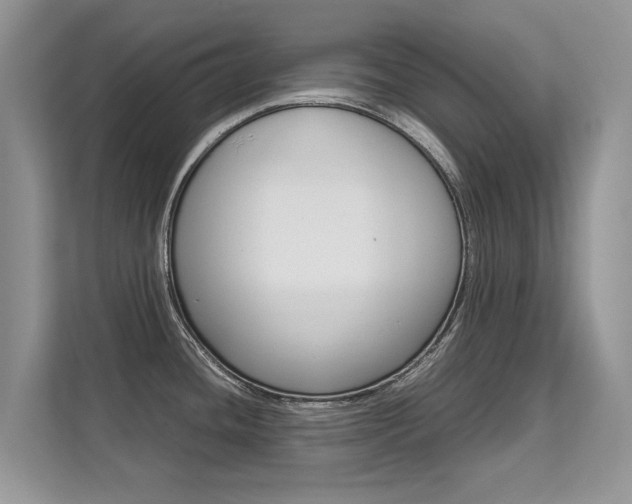 X0000112211436200908071254