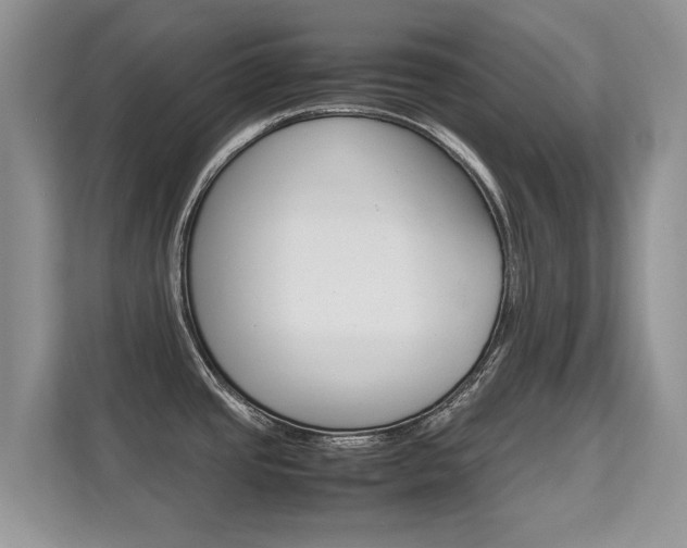 X0000112211437200908071254