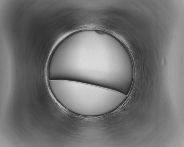 X0000112211440200908071254