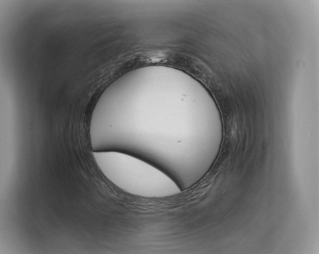 X0000112211442200908071253