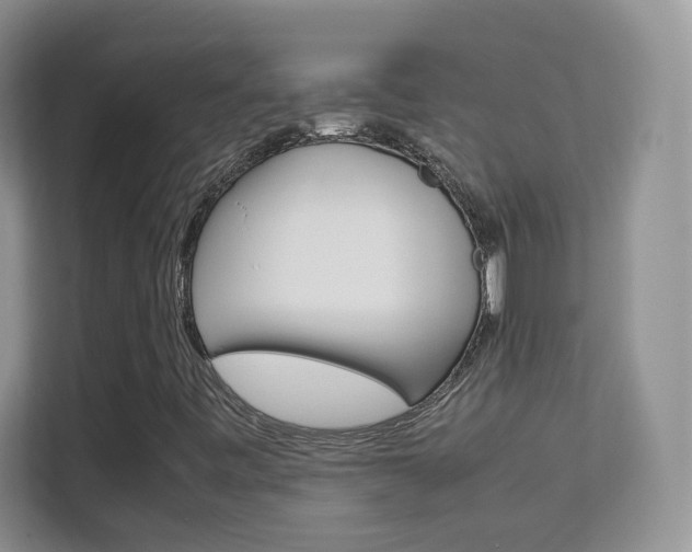 X0000112211443200908071253