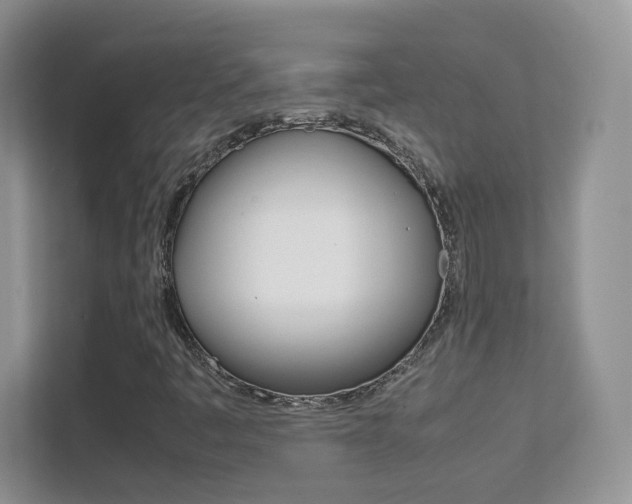X0000112211445200908071253