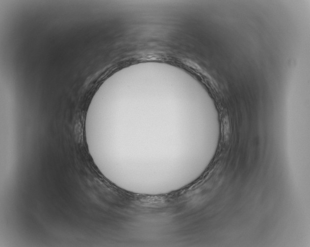 X0000112211446200908071253