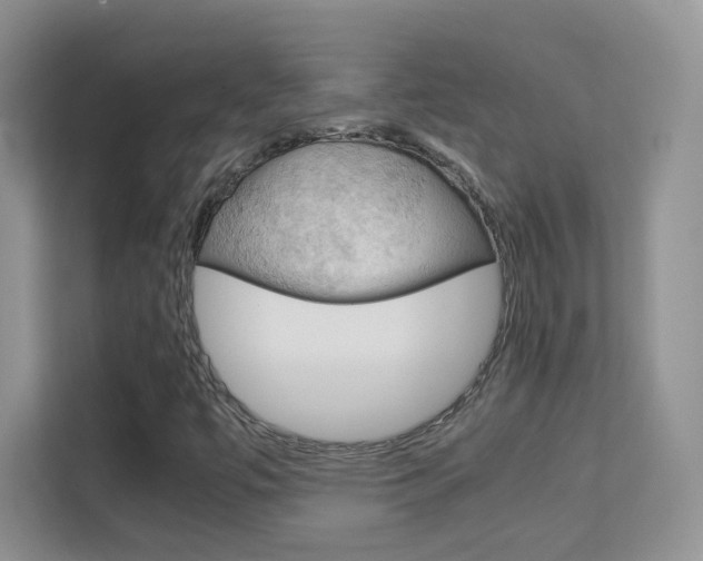 X0000112211447200908071253
