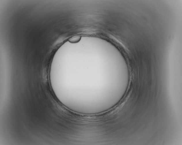 X0000112211451200908071253