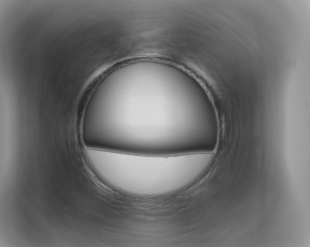 X0000112211452200908071253