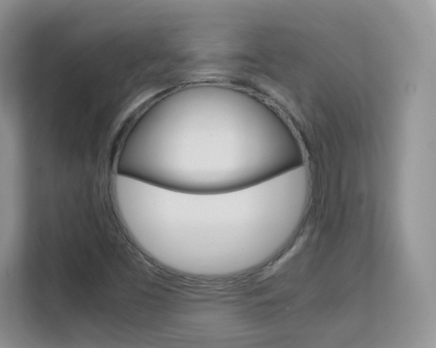 X0000112211453200908071253