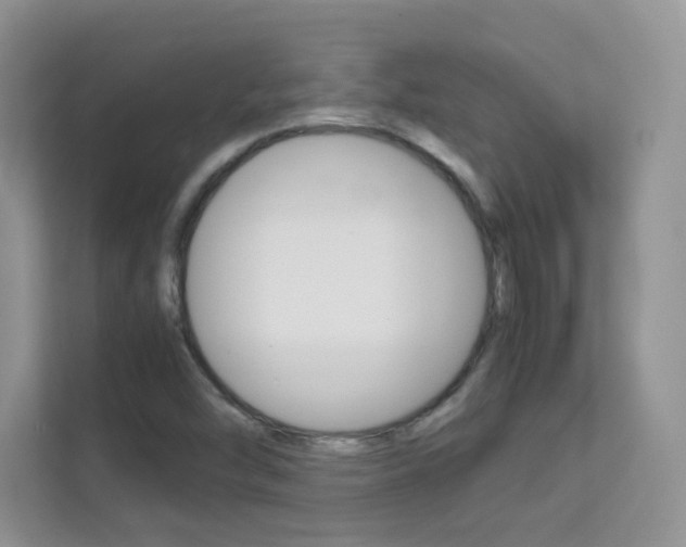 X0000112211454200908071253