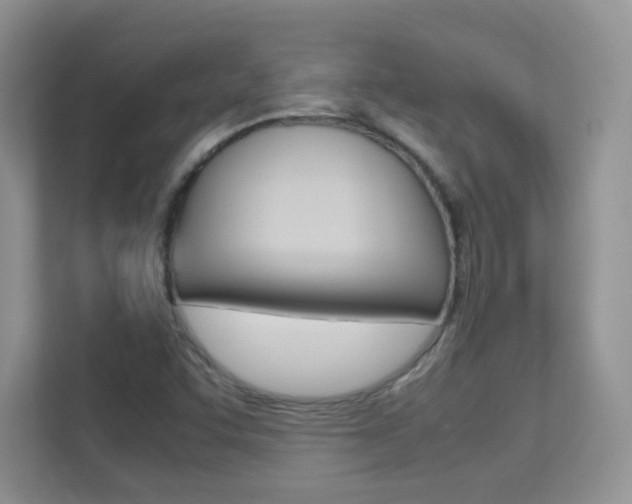 X0000112211455200908071253