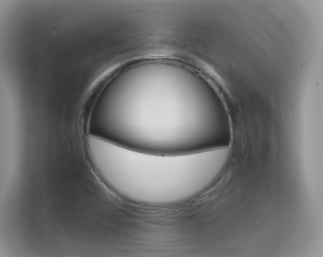 X0000112211456200908071253